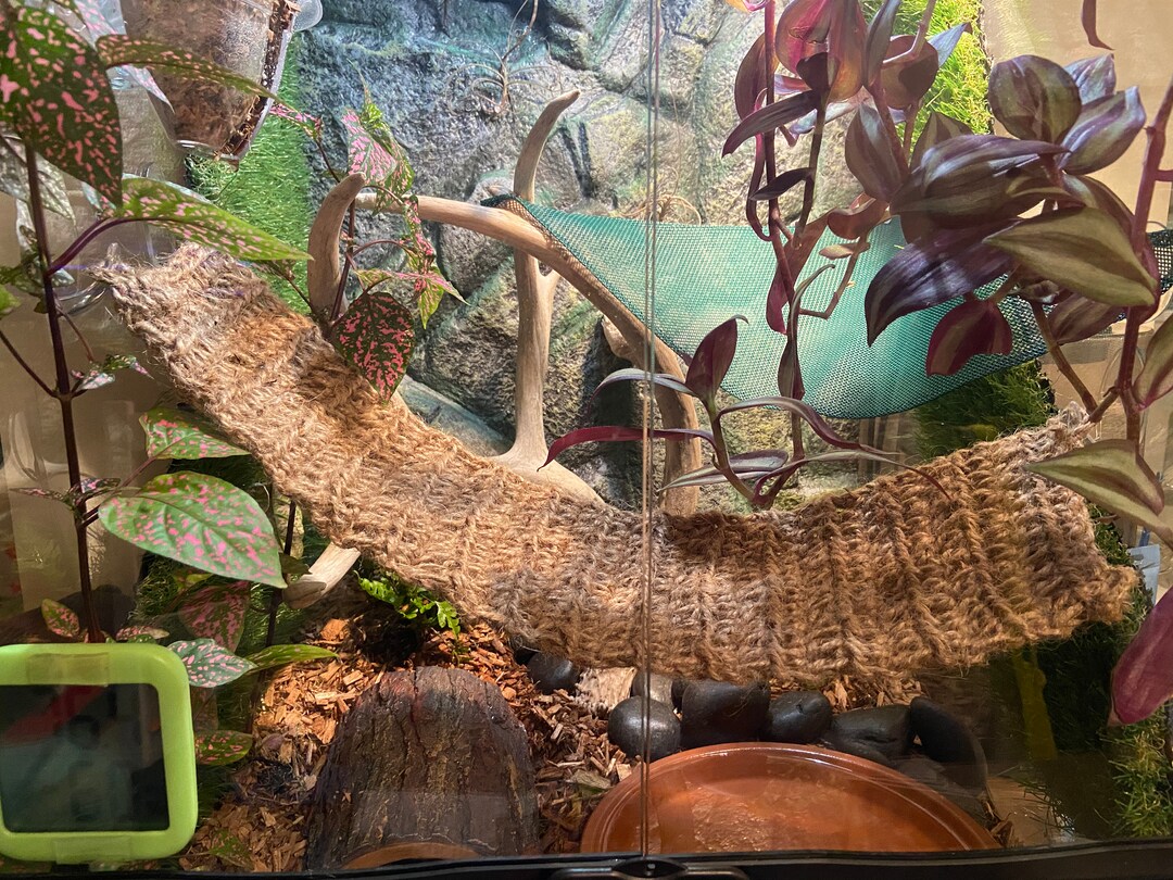 Handmade Hanging Bridge for Reptiles Lizards Terrarium Hides Etsy