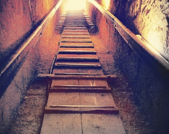 The Ladder Oracle Deck: 110-Card Guidance for Healing & Self-Empowerment