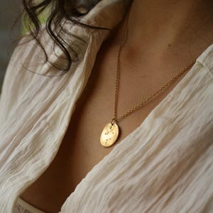 Sternzeichen Halskette I Kette mit Sternzeichen Anhänger I personalisierte Karte I Zodiac I Geschenkkarte Sternzeichen I Sternbild Kette