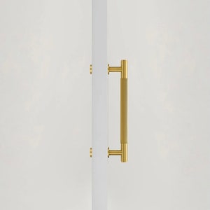May include: A gold-toned door handle with a long, rectangular grip. The handle is mounted on a white wall.