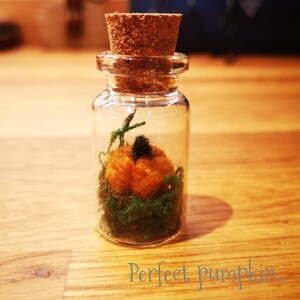 May include: A small glass jar with a cork lid contains a miniature felt pumpkin with a green stem and a black stem. The pumpkin is surrounded by green moss.