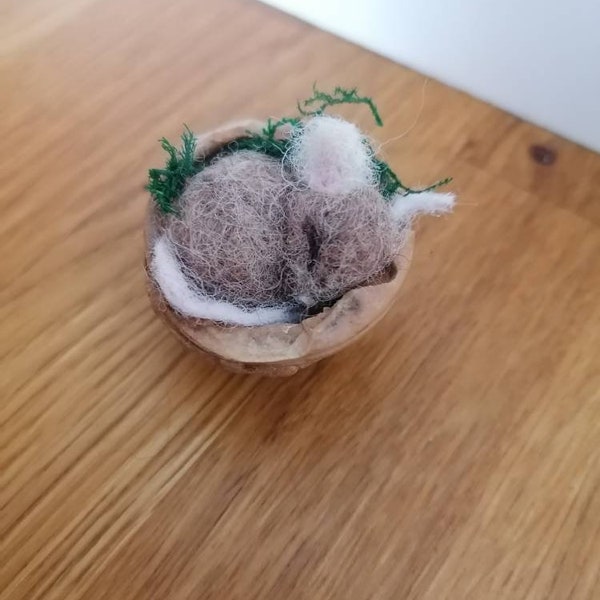 Felted sleeping mouse in a walnut shell. Needlefelted. Miniature. Nature. Wool. Cute. Ornament. Natural. Mice. Hibernating. Handmade.