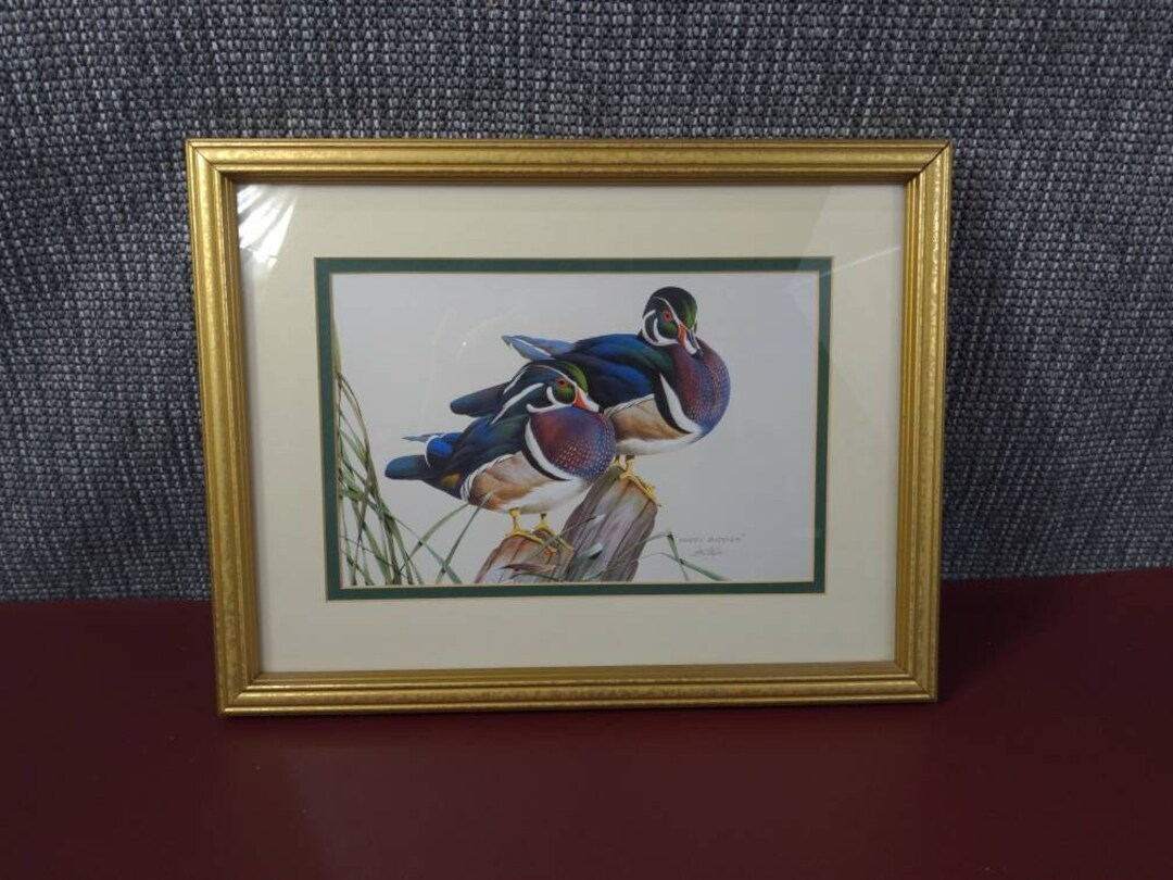Framed Wood Duck Print woody Buddies by Art Lamay Etsy