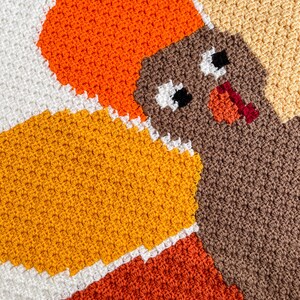 May include: A crocheted Thanksgiving turkey blanket with orange, brown, white, and yellow yarn. The turkey's head is brown with white eyes and a red beak.