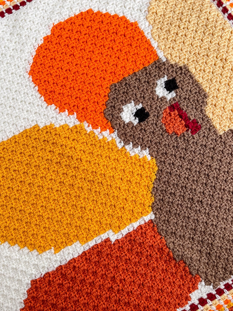 May include: A crocheted Thanksgiving turkey blanket with orange, brown, white, and yellow yarn. The turkey's head is brown with white eyes and a red beak.