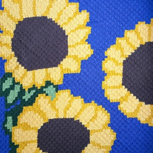 Sunflower corner to corner graph pattern