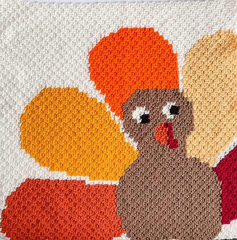 May include: A crocheted Thanksgiving turkey pillow with orange, brown, and white yarn. The turkey has a brown body, orange head, and white feathers.