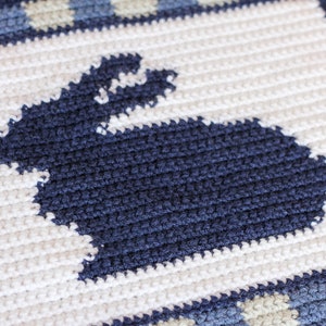 May include: A white crocheted square with a blue crocheted bunny silhouette in the center. The square has a blue and white checkered border.