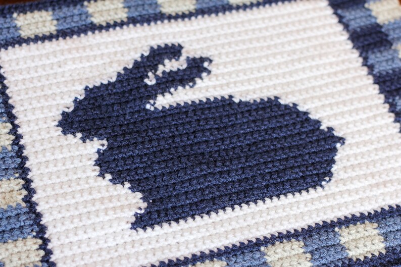 May include: A white crocheted square with a blue crocheted bunny silhouette in the center. The square has a blue and white checkered border.