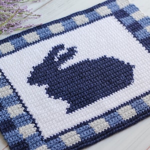 May include: A crocheted square with a blue and white gingham pattern border. The center of the square features a blue crocheted bunny silhouette.