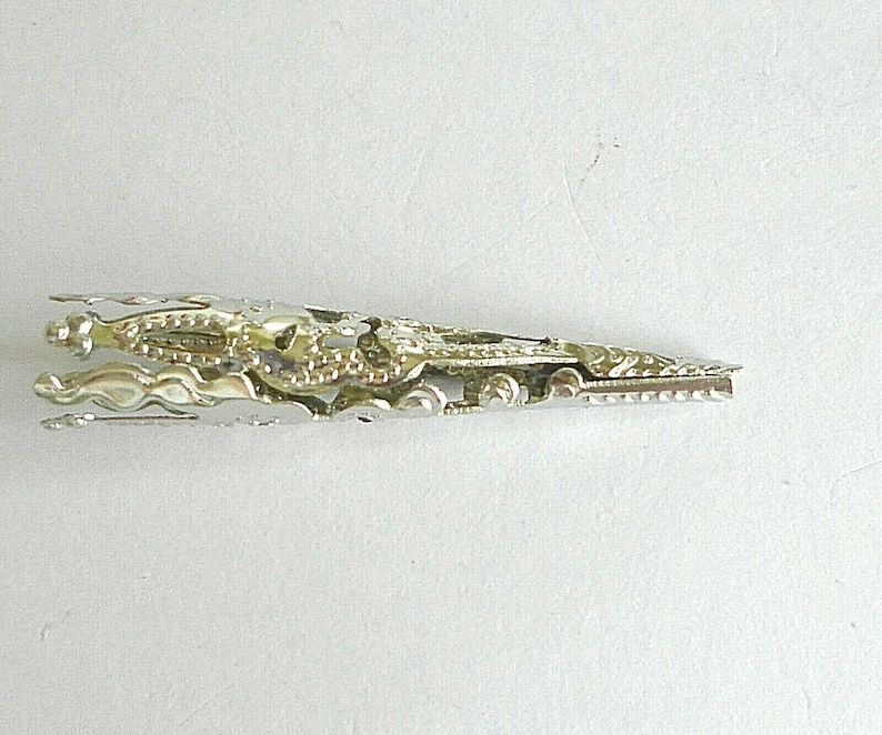 Puede incluir: Pinza para el pelo de metal plateado con un dise&ntilde;o decorativo y ornamentado. La pinza est&aacute; cerrada y lista para usar.