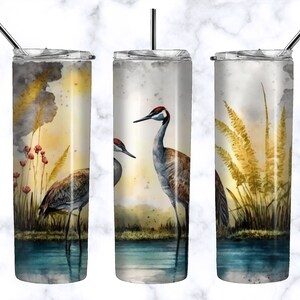 Watercolor Sandhill Crane Tumbler Wrap PNG - Florida Birds Digital Design Sandhill Crane for Bird Lovers