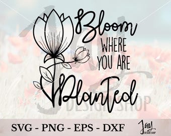 Bloom Where You Are Planted SVG | Tulip Floral Design | Spring Cut File for Cricut | Encouragement Quote PNG | Shirt & Sign Design