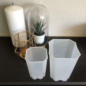 May include: Two white plastic plant pots with a hexagonal shape. The pots are sitting on a dark wood surface. A small potted succulent plant is visible in the background.