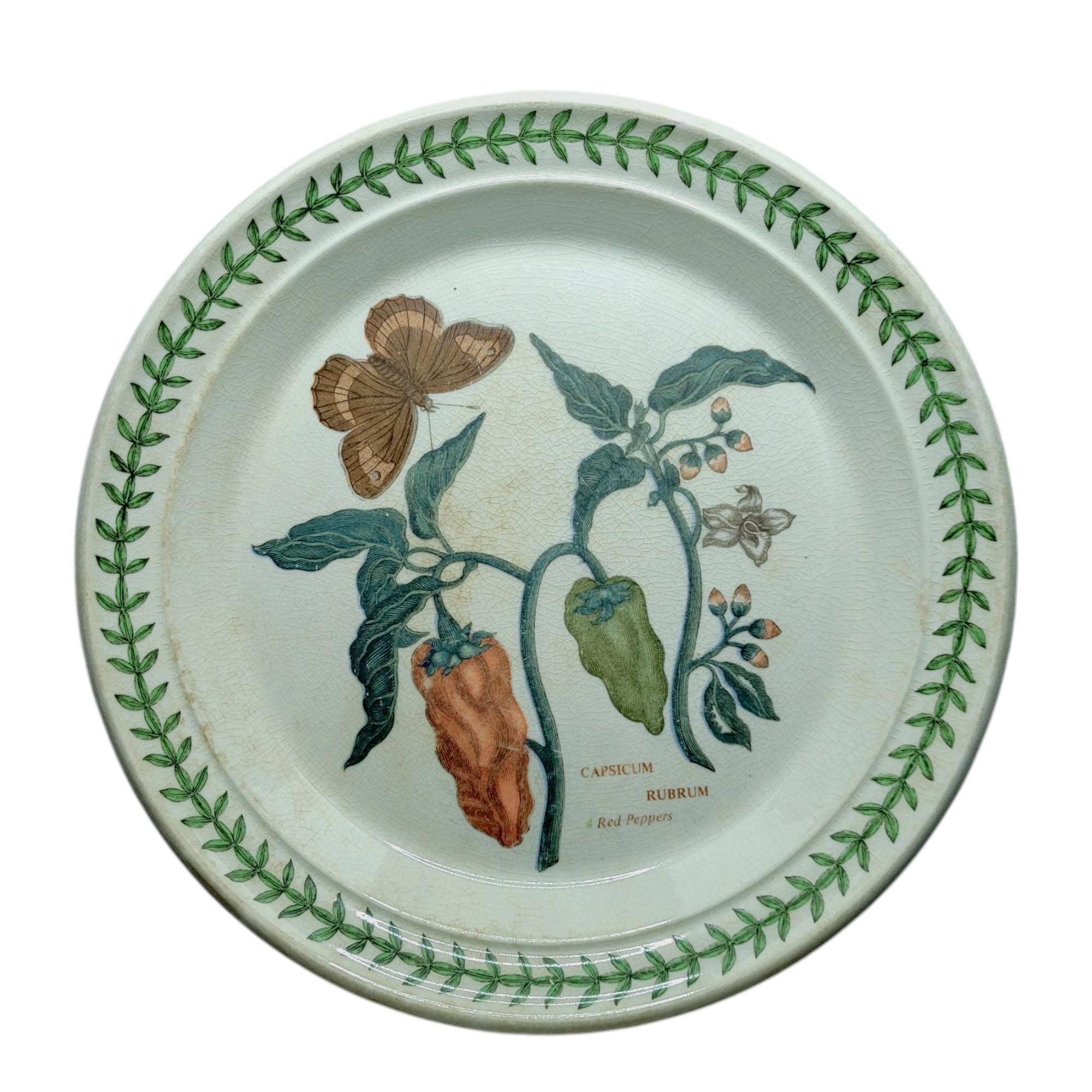 The Botanic Garden Circa 1818 - Etsy