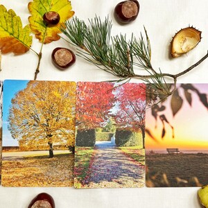Könnte beinhalten: Fünf Landschaftspostkarten mit saisonalen Szenen, darunter ein Baum mit gelben Blättern, ein Weg mit rotblättrigen Bäumen und ein Sonnenuntergang über einem Feld. Herbstblätter und Kastanien sind angeordnet.