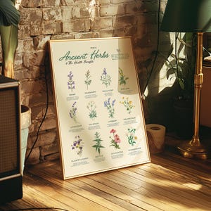 Alte Kräuter & die gesundheitliche Vorteile Bildungsposter, Blumenillustrationen-Pflanzenposter, Pflanzenmedizin, druckbare Küchenkunst