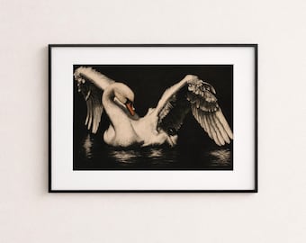 Stampa giclée vintage di un cigno, illustrazione di un uccello in stile dark romantic.