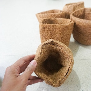 10 pcs Coco coir seedling pot | seed planter | biodegradable seedling pot
