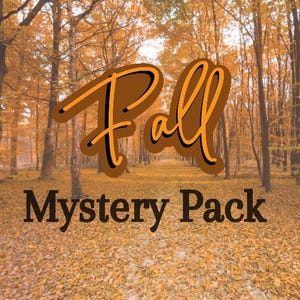 Fall Mystery Gift Set – Autumn Surprise Box for Her, Seasonal Goodies, Cozy Self-Care Bundle, Thanksgiving Gift Idea, Autumn Aesthetic Box