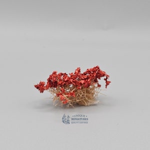 Piccoli cespugli fragili di ruggine / 1/2 pollice / set di 3 / miniatura per giardino della casa delle bambole