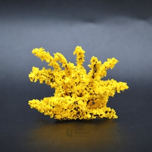 Petit buisson de forsythia | 1 pouce | Lot de trois | Miniature pour jardin de maison de poupée