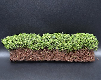 Melody Jane Dolls House Hedge Bush Foliage - Mid Green Scenic Garden Miniature For 1:12 Scale
