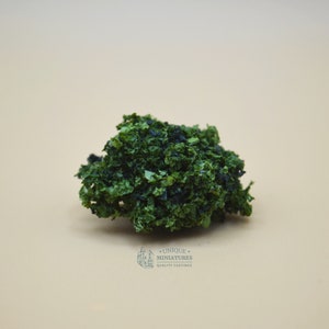 Piccole siepi circolari tagliate / 1 pollice / Set da 6 / Miniatura per il giardino della casa delle bambole