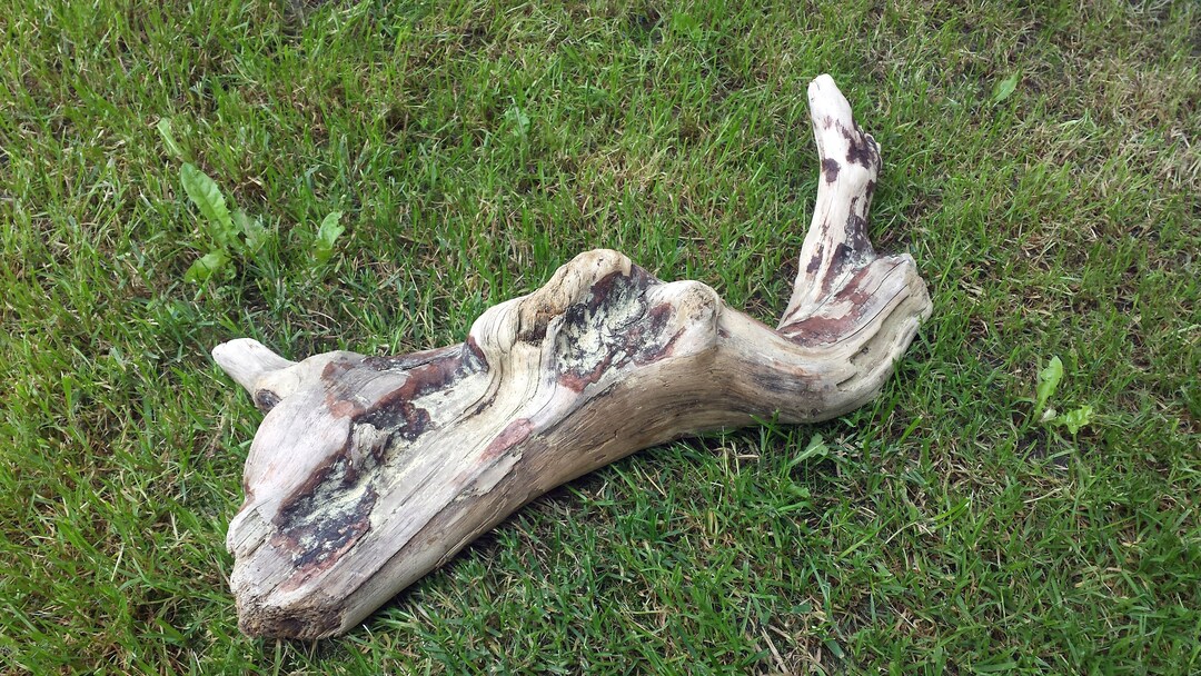 Unique Natural Art Driftwood Sculpture Driftwood Art Etsy