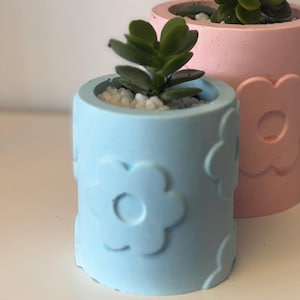 May include: Two small, decorative flower pots, one light blue and one pink, each holding a small succulent plant. The pots have a flower pattern embossed on the sides and are filled with white pebbles. The plants have green leaves.