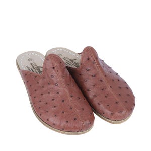 May include: A pair of brown leather slippers with a textured surface and small, dark brown spots. The slippers have a rounded toe and a slip-on design. The brand name "Arido" is visible on the insole. These are likely for indoor use.