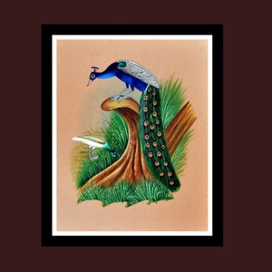 Dipinto di pavone fatto a mano / Decorazione murale di uccelli dell'arte popolare indiana / Opera d'arte di animali colorati ispirata alla natura / Regalo di arredamento etnico per la casa