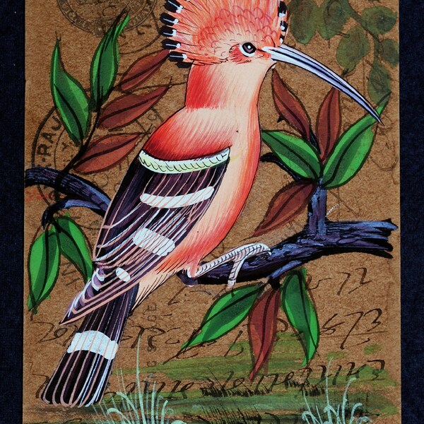 Hoopoe Bird Postcard , Hoopoe Watercolor Painting , Art , Animal , Illustration , Bird