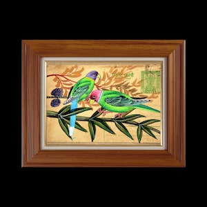 Arte de cartão postal de papagaio | Cartão postal vintage indiano pintado à mão | Decoração de parede de periquito verde | Presente de pássaro tropical | Arte ecológica reciclada