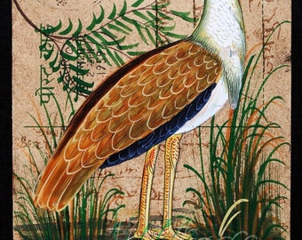 Heron Painting , Antique Bird Painting , Vintage Drawing Wall Art Decor , Handmade Home Decor , Multicolour Painting Art , Unique Postcard