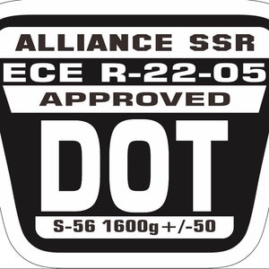 Hand-Painted Predator Motorcycle Helmet: Black Mamba Matte Finish (DOT & ECE Approved) image 5