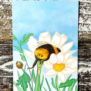 CULO D'APE CON FIORE BIANCO - Stampa artistica digitale 5x7