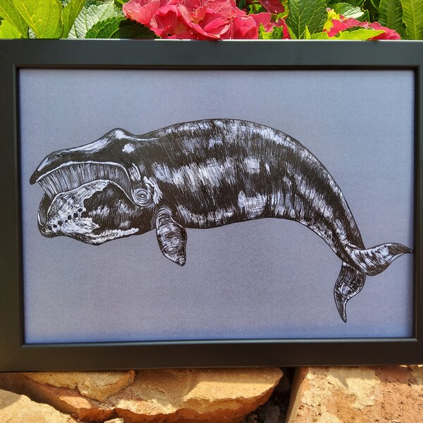 Bowhead Whale - Etsy