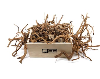 SR Aquaristik Spider Wood