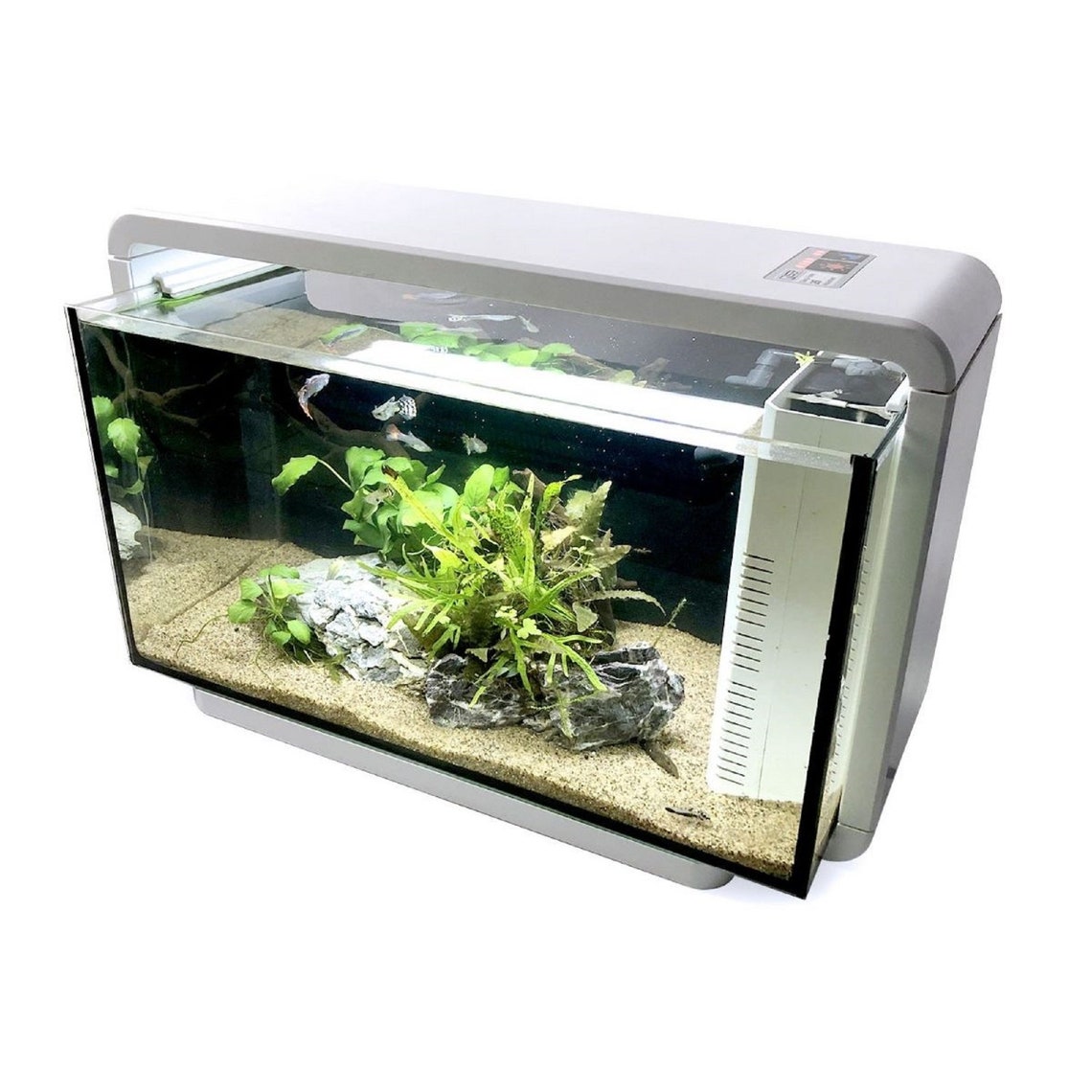 Aquarium Tank 25L White/Black Deco Fish Tank Aquarium Etsy