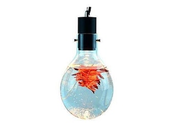 Hanging Luminarium Aquarium Small - Lightbulb Style Unique Lighting Hanging Glass Luminarium Aquarium for DIY Home Office