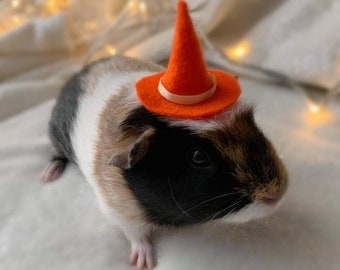 Guinea pig Halloween witches hat
