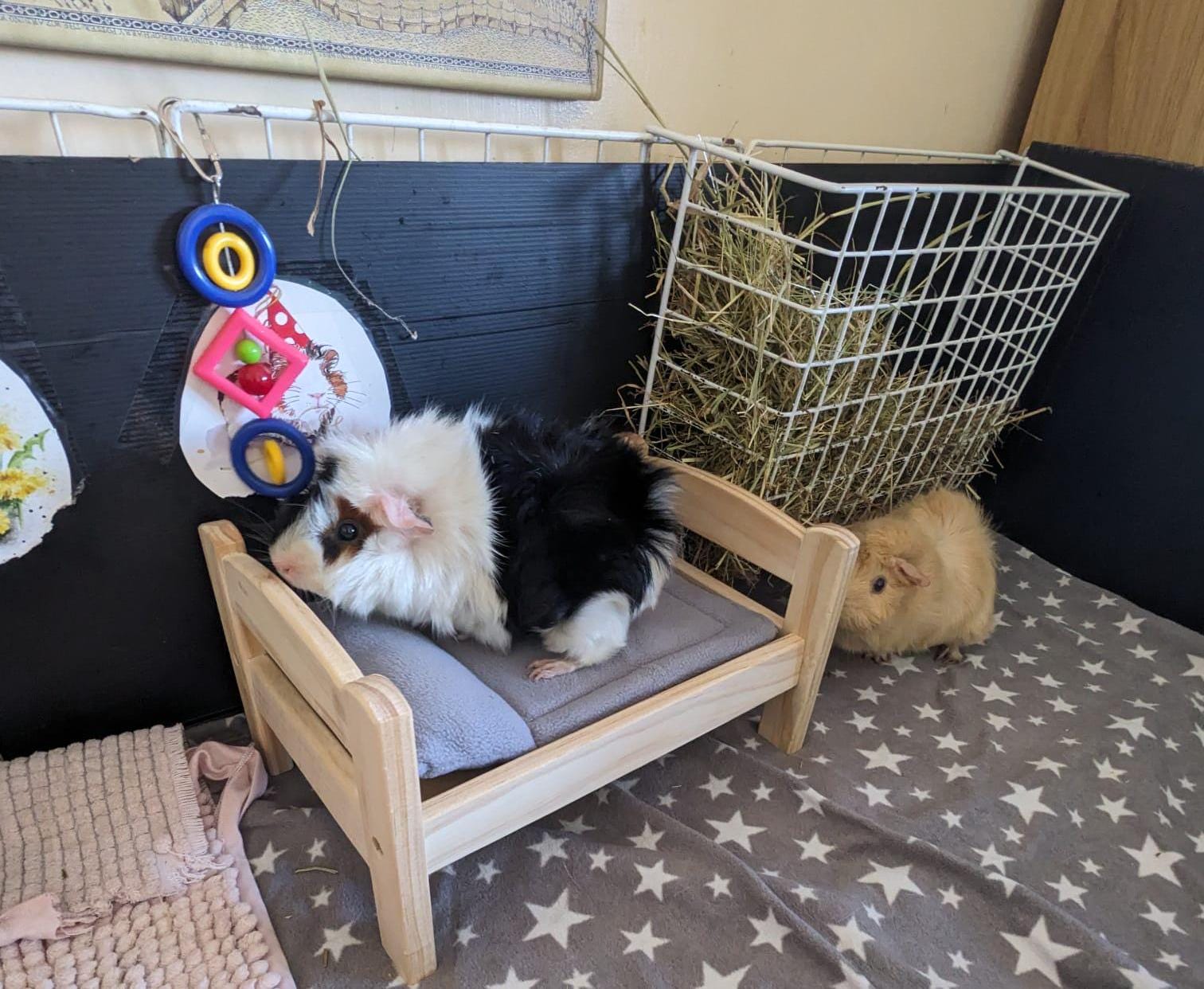 DINHEAROM Holzbett Für Meerschweinchen & Hamster - Gemütlicher Schlafplatz Aus Massivholz