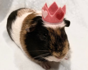 Guinea pig Valentine’s Day crown hat