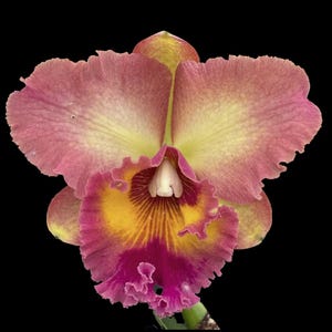 May include: A rustic wooden sign with the text "Welcome to our home" in white lettering. The sign features a distressed finish and a simple, inviting design, perfect for entryway decor.