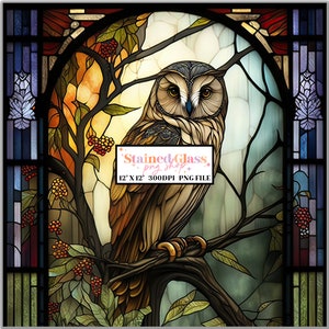 Eule Stained Glass Sublimation Designs, Buntglas Muster, Buntglas PNG, Faux Buntglas, Stain Glass Papier, digitales Papier