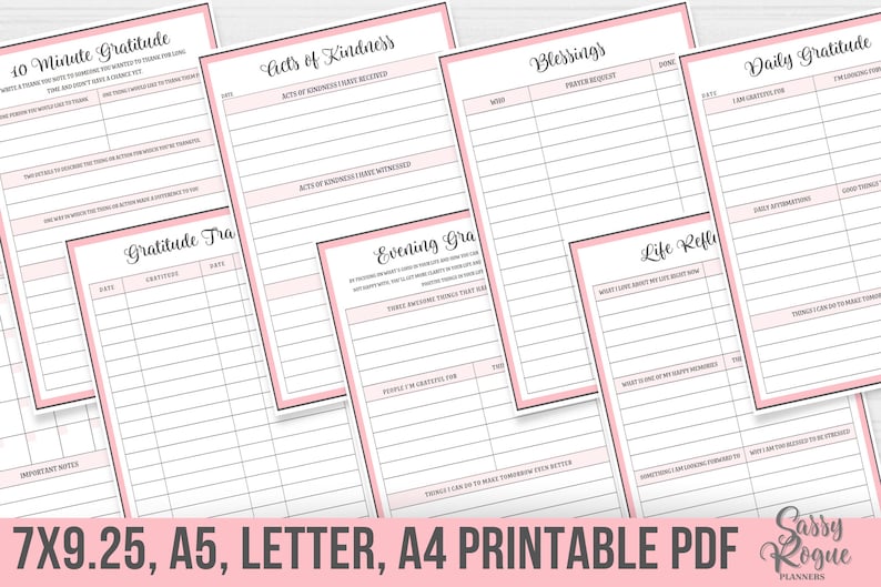 May include: Printable gratitude journal pages with pink borders. The pages include prompts for daily gratitude, blessings, acts of kindness, life reflections, and evening gratitude.