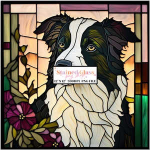 May include: Stained glass window design featuring a black and white border collie dog with brown eyes, surrounded by purple flowers and green leaves. The text "Stained Glass, png shop, 12" x 12" 300DPI PNG FILE" is visible in the image.