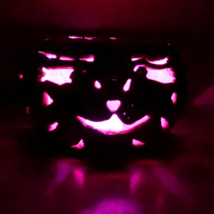 Pngtuber Model CAT'O'LANTERN Reactive Image (Instant Download) 