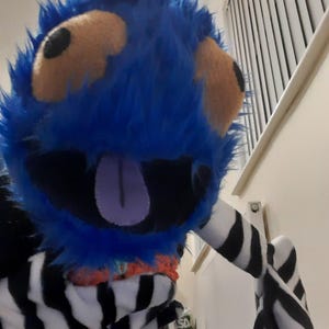 Live-Hand Puppet